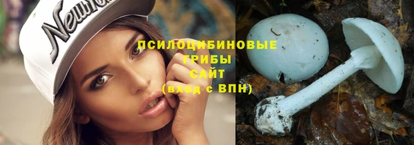 2c-b Алзамай