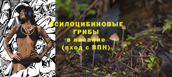 2c-b Алзамай