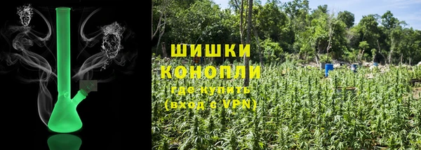 2c-b Алзамай