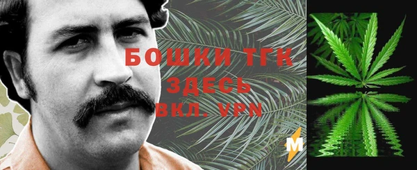 дживик Абинск