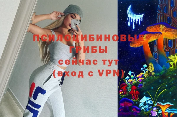 2c-b Алзамай